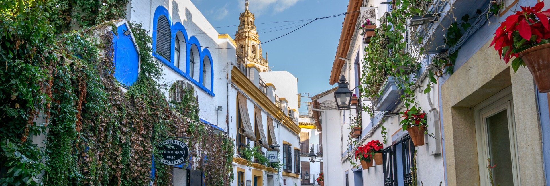 1662630381_cordoba portada.jpg